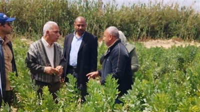 الزراعة تتابع إنتاج التقاوي والمحاصيل الاستراتيجية بمحطة النوبارية