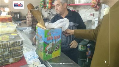 ضبط 630 كجم أسماك فاسدة و19 مخالفة تموينية في حملات مكثفة بالمنيا