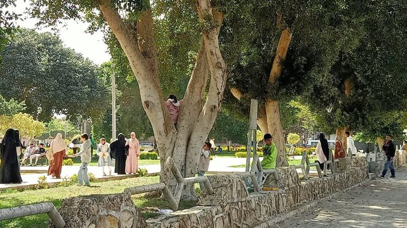 جانب من الحدائق