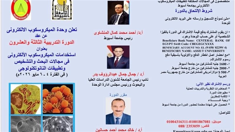 الدورة التدريبية