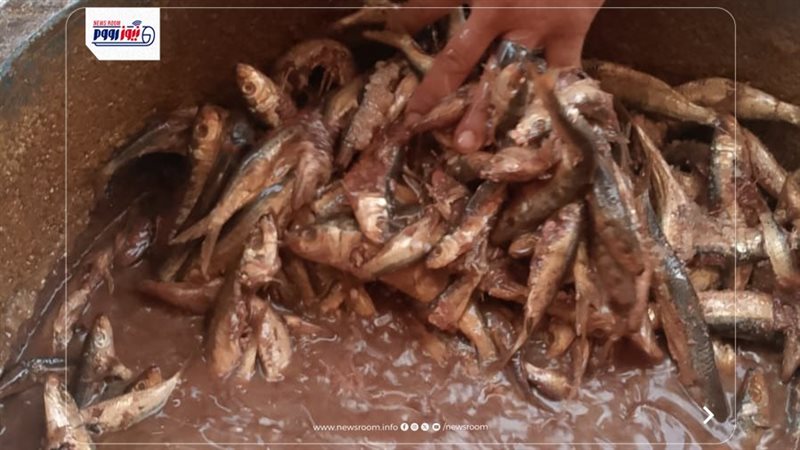 المضبوطات 