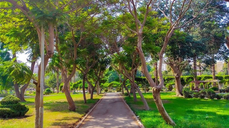 حديقة الطفل