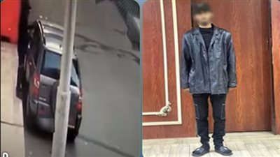 ضبط عنصر جنائي بتهمة سرقة أموال من داخل سيارة بالدقهلية