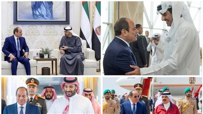 دعم الأشقاء وحماية الأمن القومي.. نواب يشيدون بزيارة الرئيس السيسي للخليج