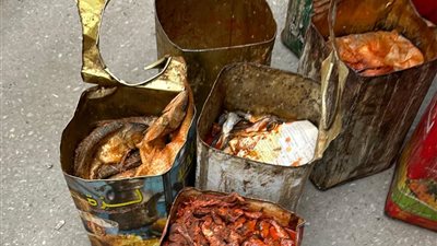 محافظ أسيوط: ضبط 250 كجم أسماك فاسدة في حملة رقابية بالأسواق خلال إجازة العيد