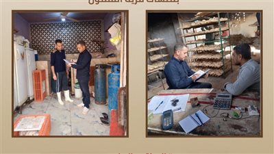 مكافحة عمالة الأطفال بالمخابز.. أبرز نشاط مديريات العمل بالمحافظات