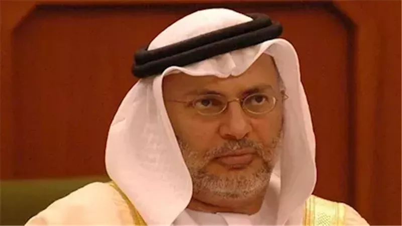 مستشار الرئيس الإماراتي