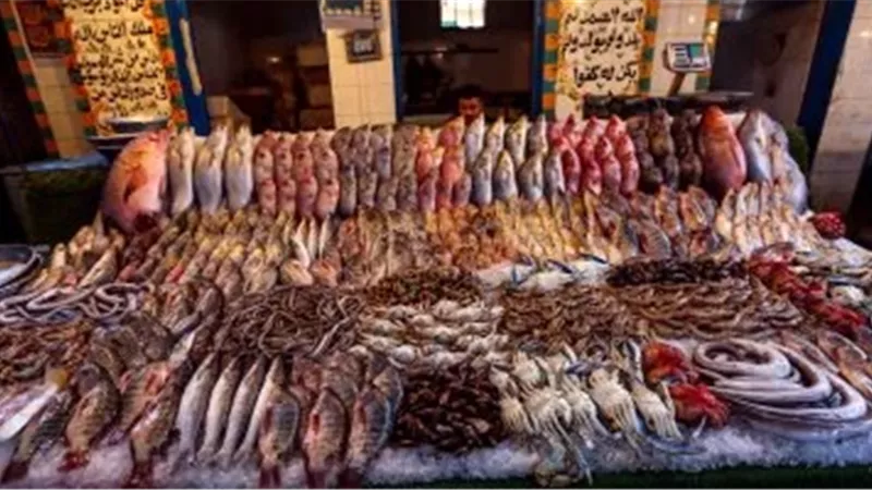 صورة ارشيفية