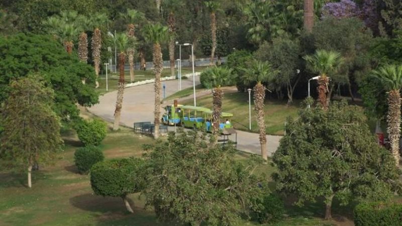 الحديقة الدولية