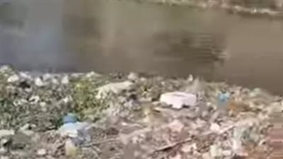 استغاثة أهالي عزبة حمد بطنطا: حيوانات نافقة وقمامة تغطي المجرى المائي