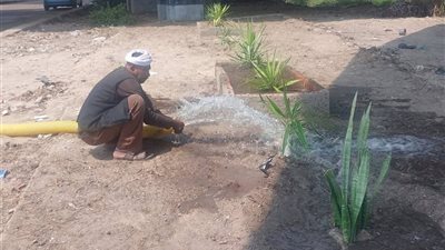 تجميل مدخل دمنهور.. أعمال نظافة وزراعة أسفل كوبري أبوحصيرة بالطريق الزراعي