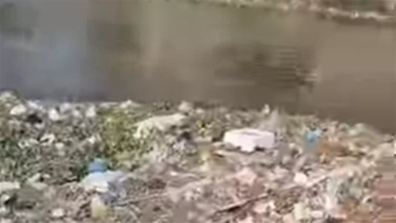 القمامة بعزبة حمد