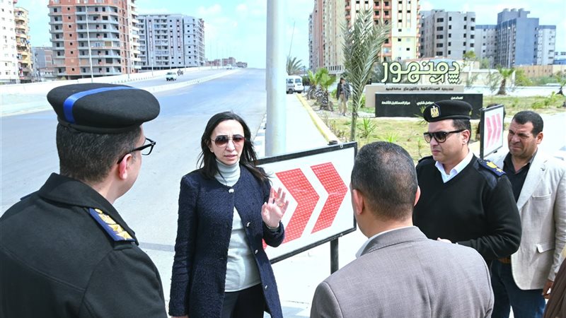 محافظ البحيرة توجه