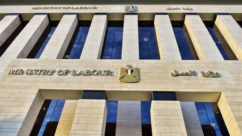 وزارة العمل المصرية