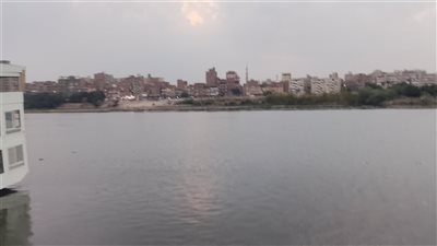 رئيس جامعة بنها: تعليق الدراسة واستمرارها أونلاين الاربعاء والخميس
