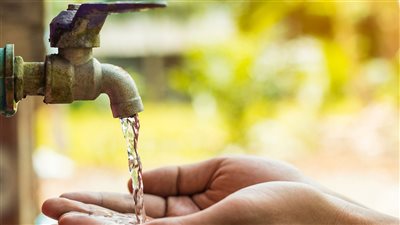 عمل بسيط وثوابه عظيم.. الإفتاء توضح أجر وضع أوعية مياه للطيور والحيوانات