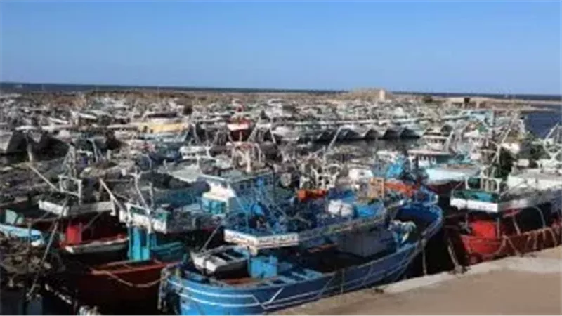 ميناء البرلس