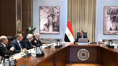 رئيس الوزراء يلتقي أعضاء اللجنة الاستشارية للشئون السياسية