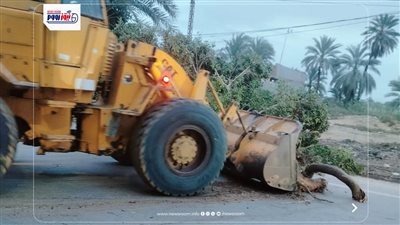 تحرك عاجل لإزالة شجرة سقطت على أسلاك الكهرباء بعين السيليين في الفيوم