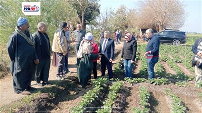 تحذير عاجل لمزارعي المنيا.. مخاطر الري أثناء الرياح وتأثيره على محصول القمح