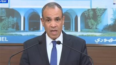 بدر عبدالعاطي: الرئيس السيسي يؤكد استعداد مصر لتلبية احتياجات الأشقاء في لبنان