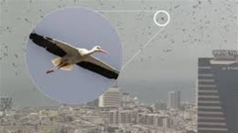 غربان تل أبيب تثير