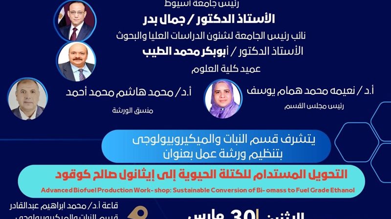 صورة واقعيه