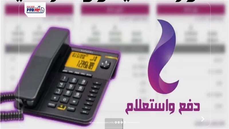 الاستعلام عن فاتورة