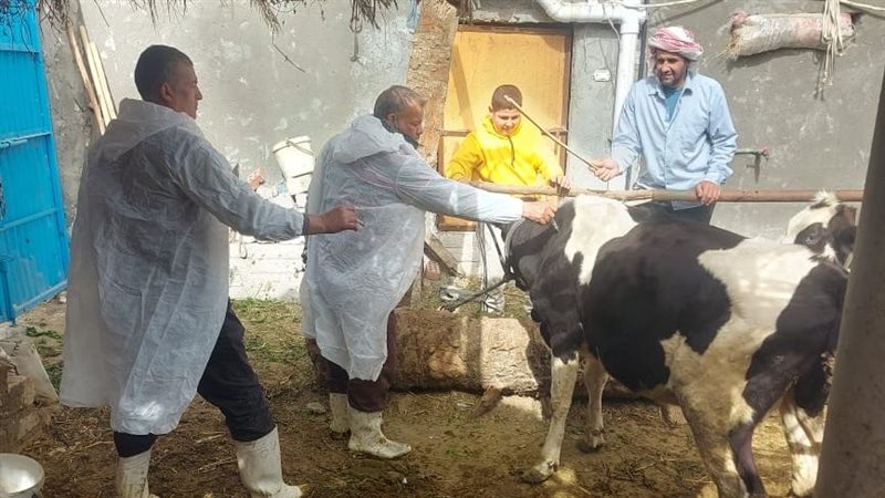 انطلاق فعاليات الحملة
