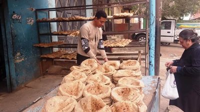 تحرير 180 مخالفة متنوعة فى مجال الأسواق والمخابز البلدية بأسوان