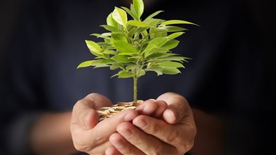 الفرق بين الصدقة وزكاة المال وزكاة الفطر.. لمن تُصرف وكيف تُحسب؟