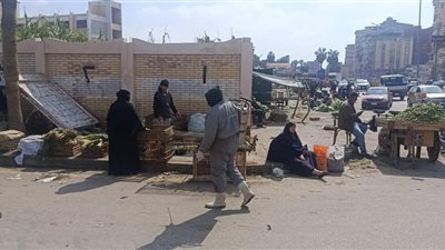 استمرار حملات مكافحة ناقلات الأمراض بدمياط خلال الإجازات لحماية المواطنين