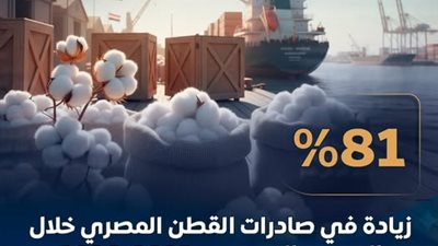 81 %.. زيادة في نسبة صادرات القطن المصري خلال الموسم التصديري 2025-2026