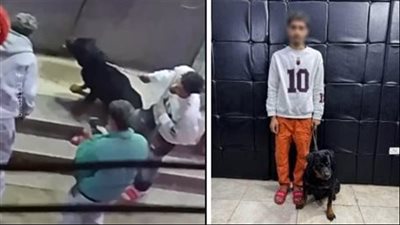 القبض على المتهم بترهيب شخص باستخدام كلب شرس بالقاهرة 