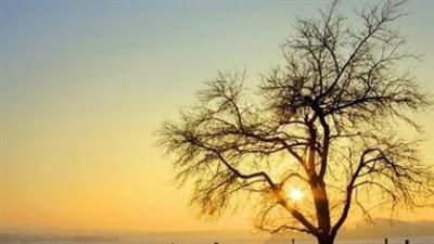 أذكار المساء المستحبة عن النبي.. «أمسينا وأمسى الملك لله»