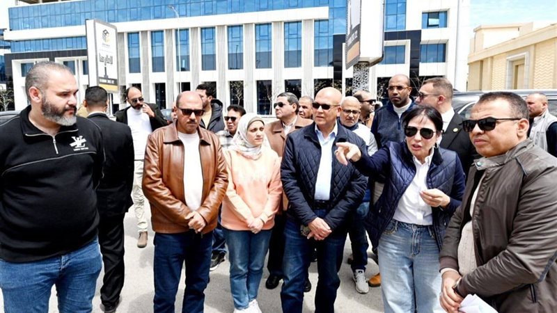  المهندسة راندة المنشاوي
