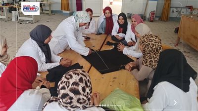 برامج تدريب وتشغيل لتعزيز فرص الشباب في المنيا ومواجهة الهجرة غير الشرعية