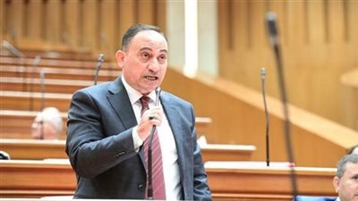 اتصالات النواب تناقش طلب النائب محمد زين الدين بشأن ضعف شبكات الاتصالات بإدكو