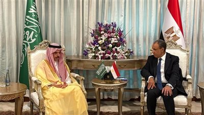 لقاء مصري سعودي لبحث جهود التهدئة الإقليمية وتغليب المسار الدبلوماسي 