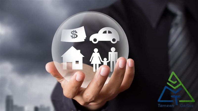 شركات التامين 