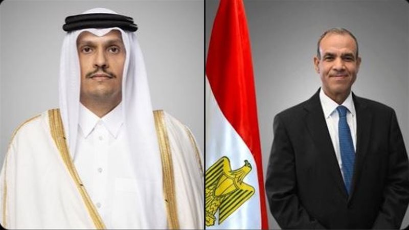 وزيرا خارجية مصر