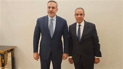 وزير الخارجية يبحث مع نظيره التركي العلاقات الثنائية وتنسيق جهود خفض التصعيد