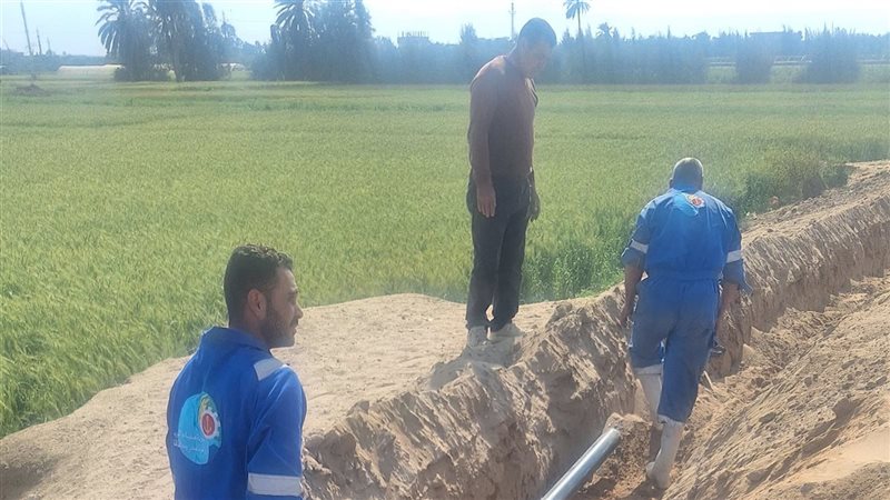 استجابة فورية لحل
