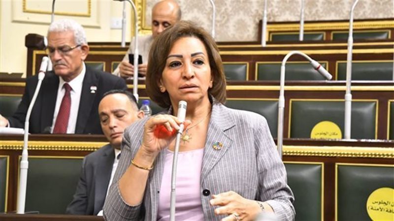 النائبة مها عبد الناصر