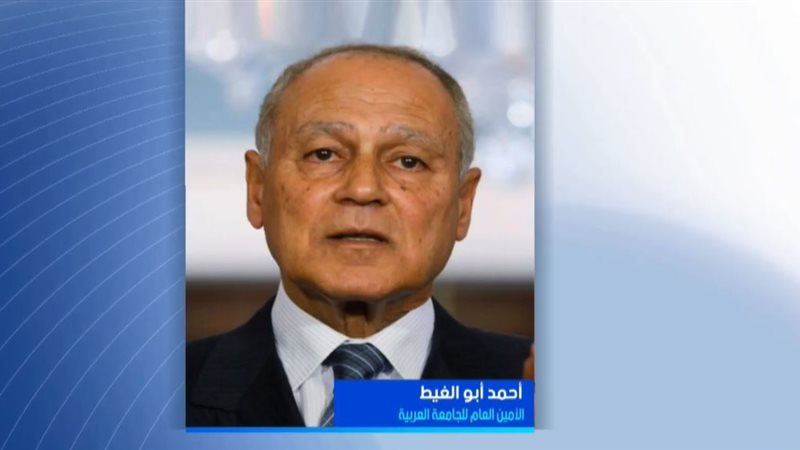 أحمد أبو الغيط