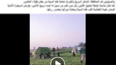 الحقيقة الكاملة.. خلاف على أرض زراعية وراء فيديو «سرقة محصول» بالدقهلية