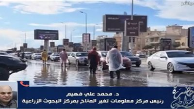 خبير مناخ يحذر: توقفوا فورًا عن ري القمح.. والتقلبات الحالية طبيعية