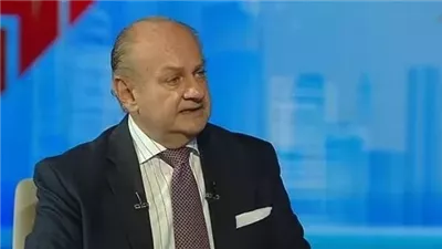 السفير يوسف زادة: التحركات المصرية الراهنة هي جهود لتعزيز العلاقات مع الخليج