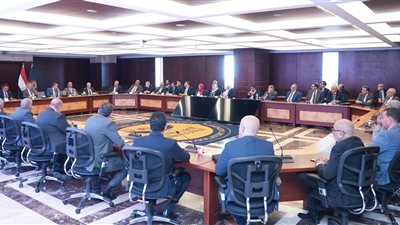 رئيس الرقابة المالية يبحث خطط زيادة معدلات قطاع التأمين وتطويره