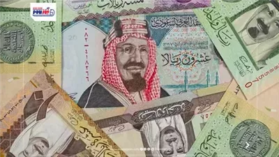 تزامنًا مع موسم الحج.. تحديث سعر الريال السعودي اليوم مقابل الجنيه المصري 